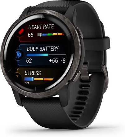 Умные часы Garmin Venu 2, черный