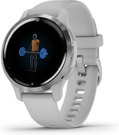 Умные часы Garmin Venu 2S, серебристый